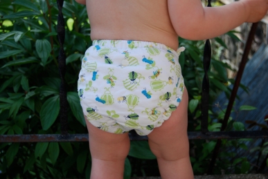 Norwex detergent and cloth diapers